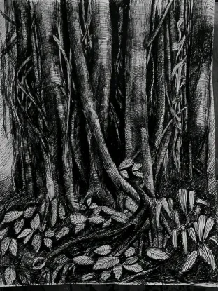 Mithila Modhubonty-Sketch, Water Colour Art